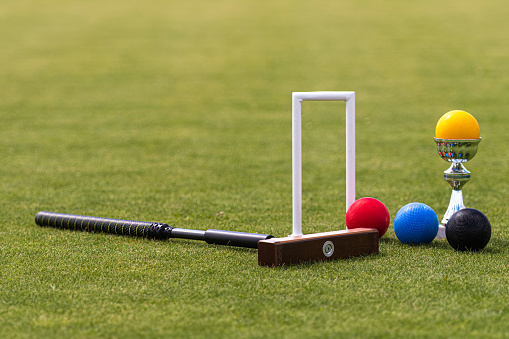All About Croquet Rules